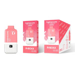 Load image into Gallery viewer, DISPOSVAPE R-BOXX PREFILLED POD KIT 3000 Puff
